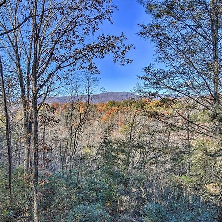 Natures Retreat With Hot Tub 7 Mi To Bryson City Whittier Bagian luar foto
